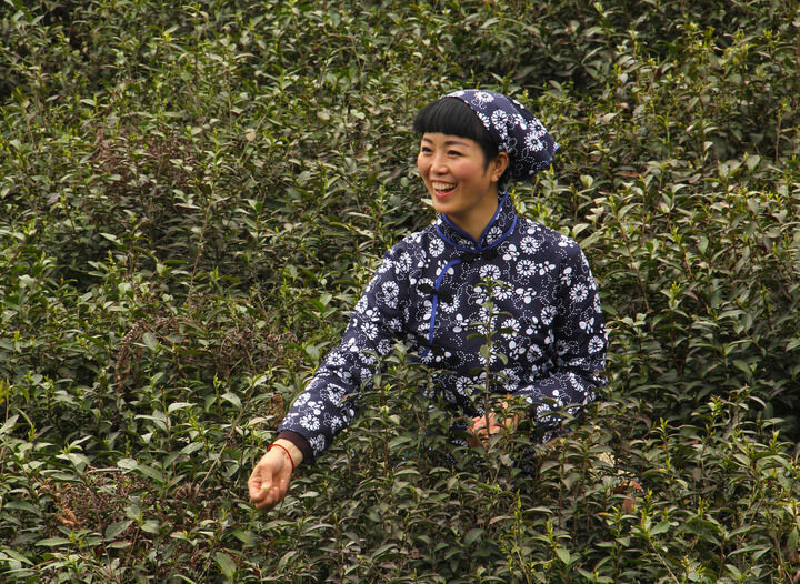 百丽官·罪域